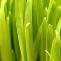 稳定可扩展的ddos攻击器安卓ios下载